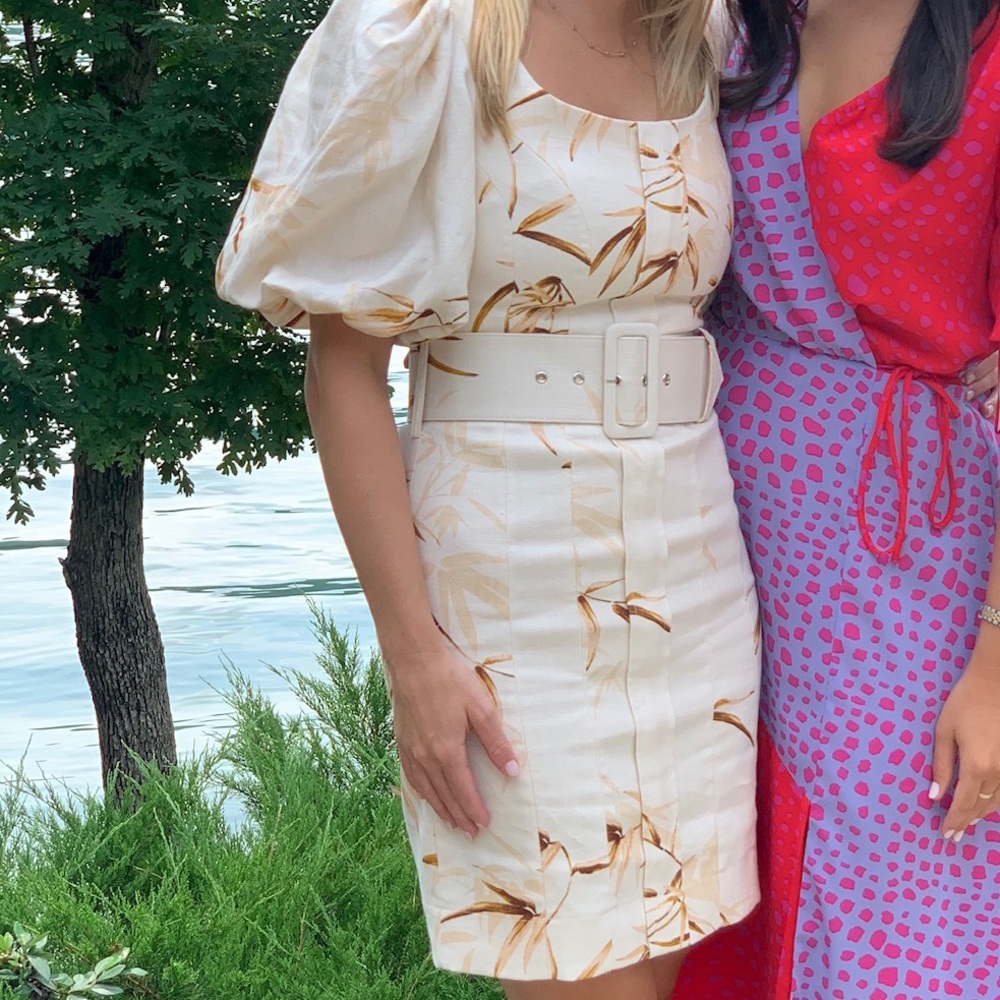 Shona Joy Dress